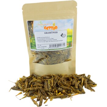 Getzoo Grashüpfer 25g Kleintiershop online kaufen